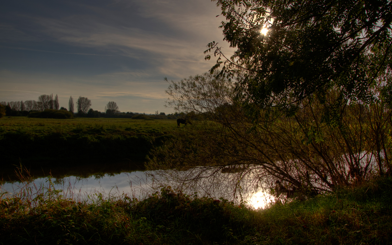 In der Leinemasch