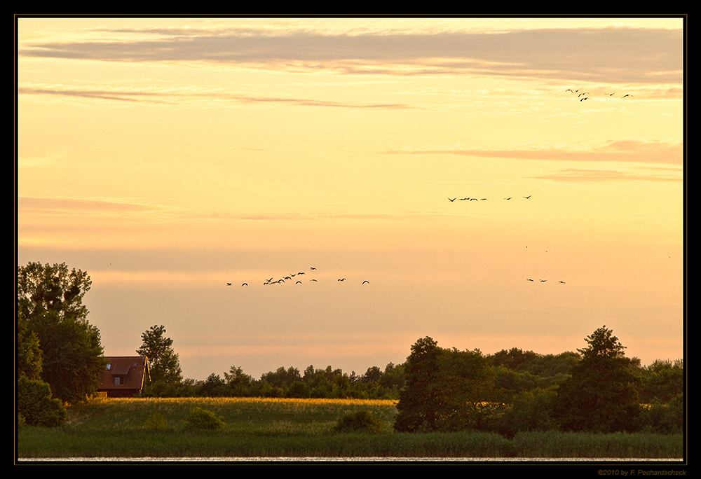 In der letzten Abendsonne