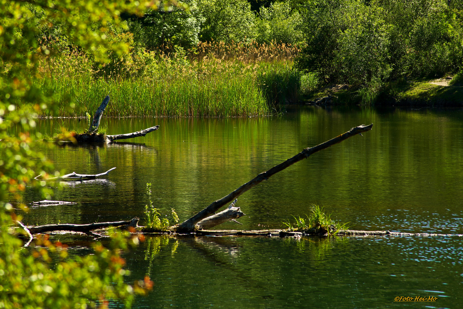 In der Lobau