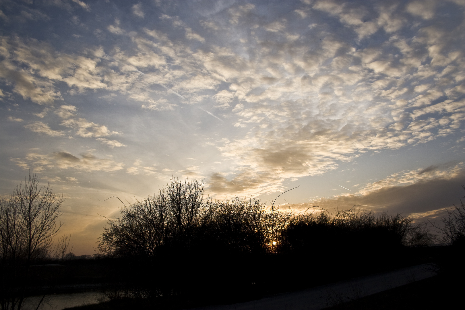 in der Lobau