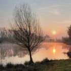 In der Lobau kündigt sich der Frühling an