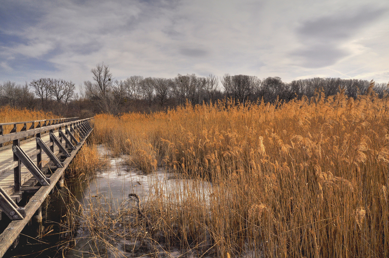 In der Lobau zieht sich der Winter zurück