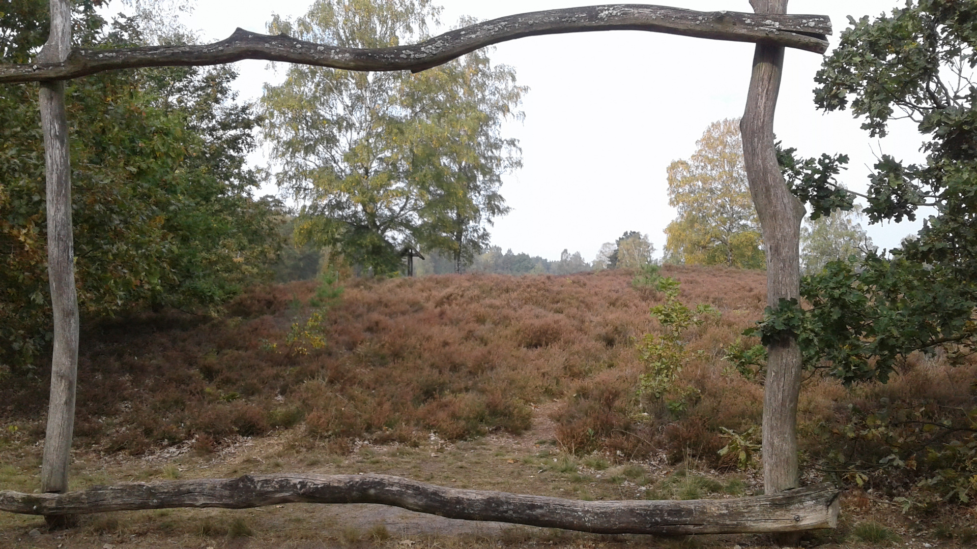 in der Lüneburger Heide