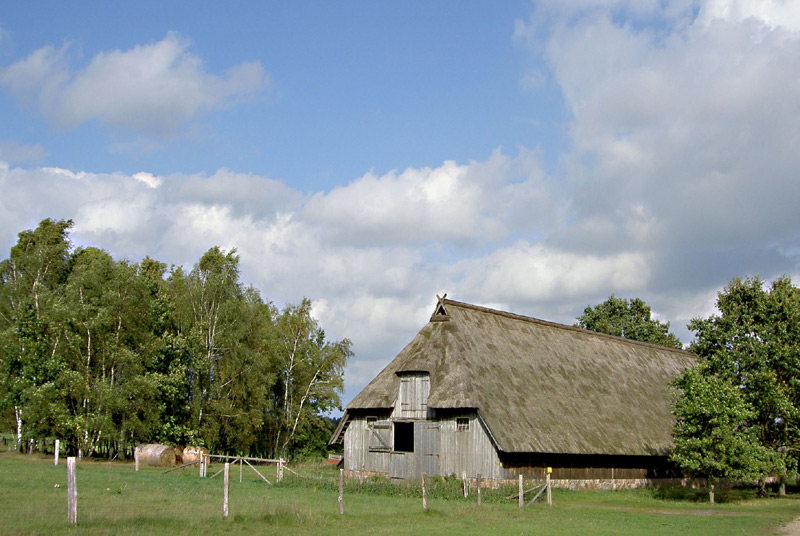 in der Lüneburger Heide