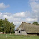 in der Lüneburger Heide