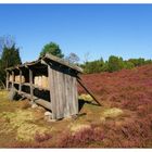 In der Lüneburger Heide