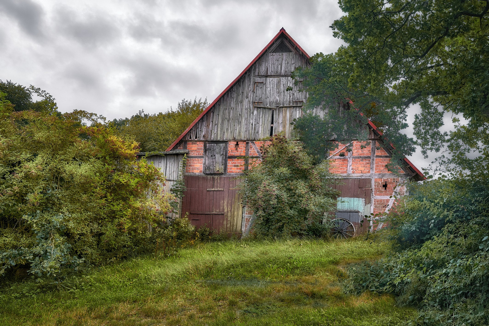 In der Lüneburger Heide 