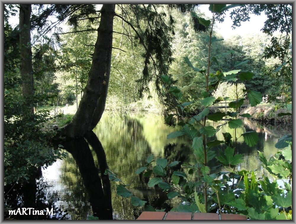 In der Lüneburger Heide