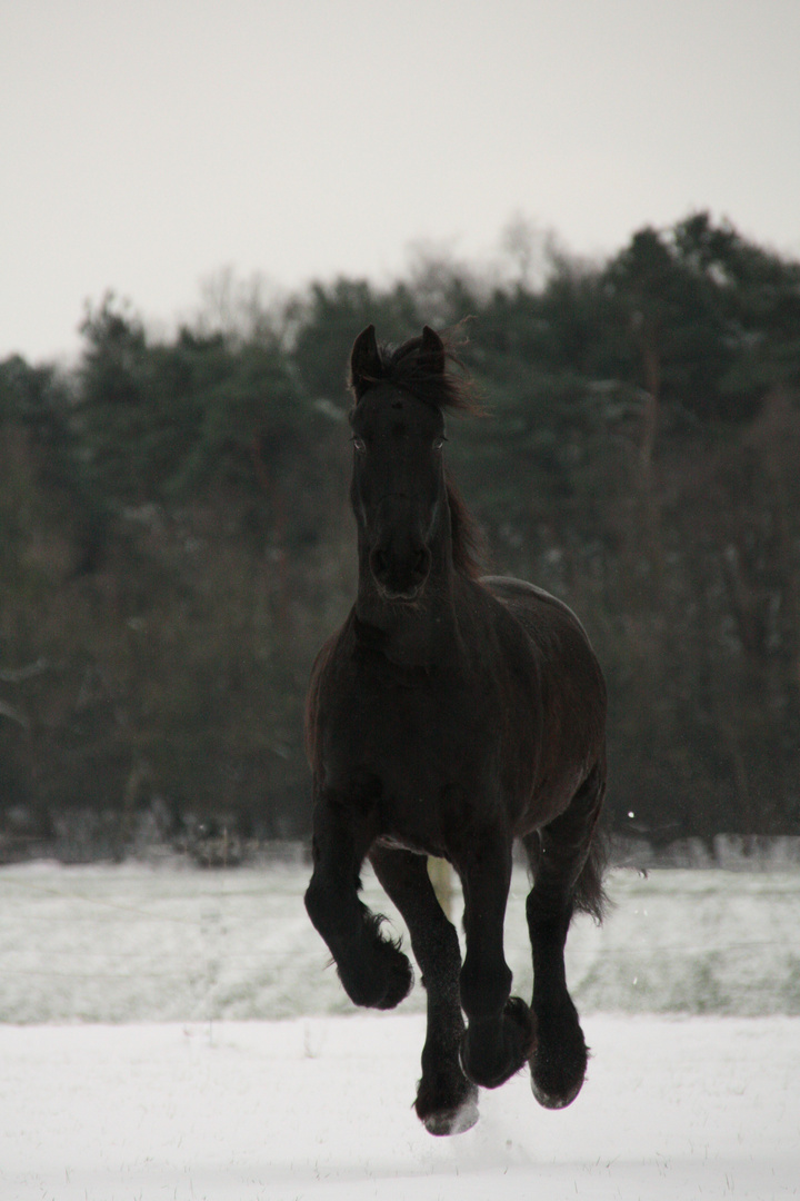 In der Luft.