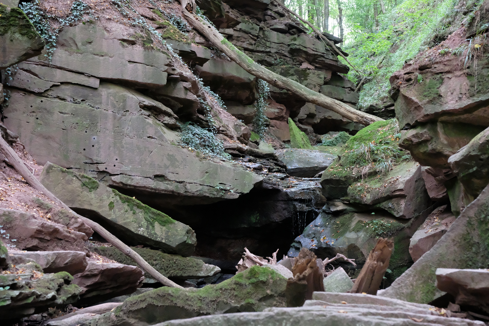 In der Margarethenschlucht - Neckarsteig Neckargerach