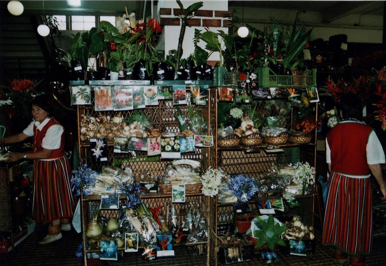 In der Markthalle werden natürlich auch Blumen und Blumenzwiebel angeboten