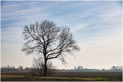 in der Marsch unterwegs