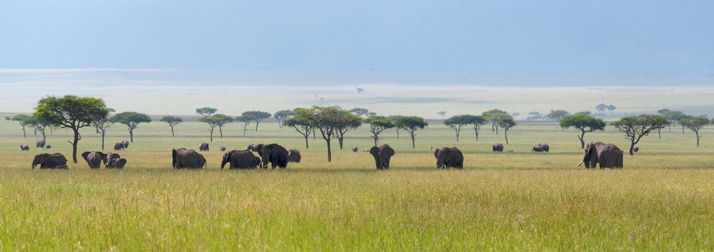 In der Masai Mara