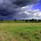 in der Masai Mara beginnt die Regenzeit