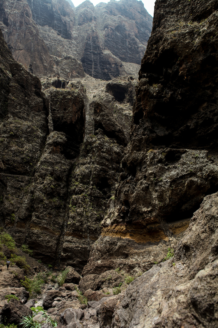 In der Masca-Schlucht Teneriffa