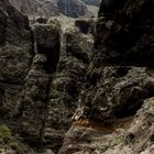 In der Masca-Schlucht Teneriffa