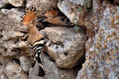 In der Mauer...