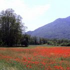 In der Maurienne - En Maurienne