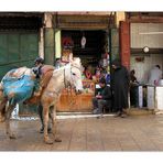 In der Medina von Fes II