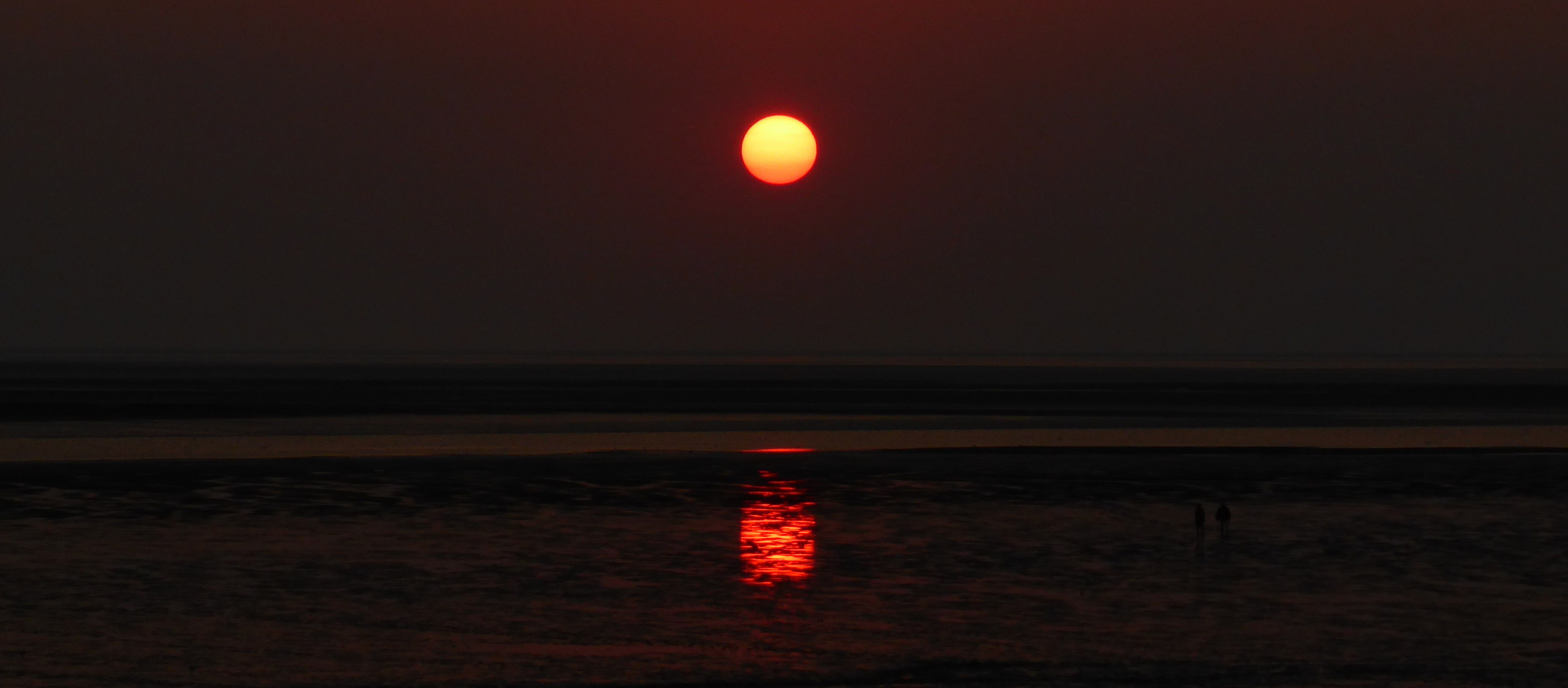 in der Meldorfer Bucht