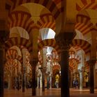 In der Mezquita - Cordoba