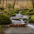 In der Monbachschlucht