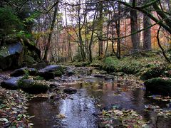 in der Monbachtalschlucht