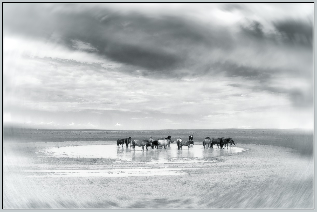 In der mongolischen Steppe 