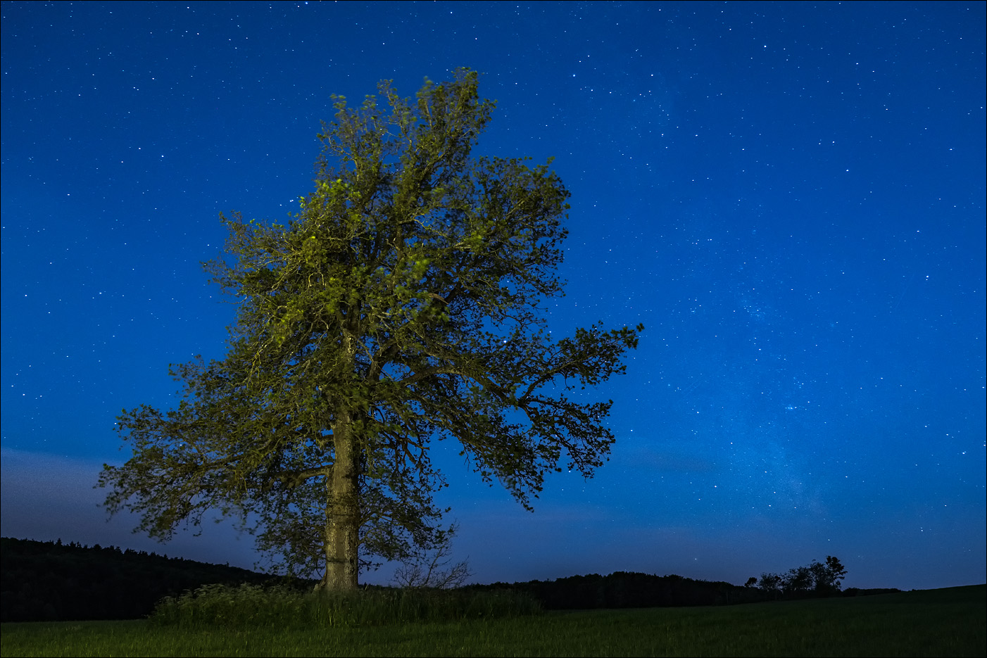 in der Morgendämmerung