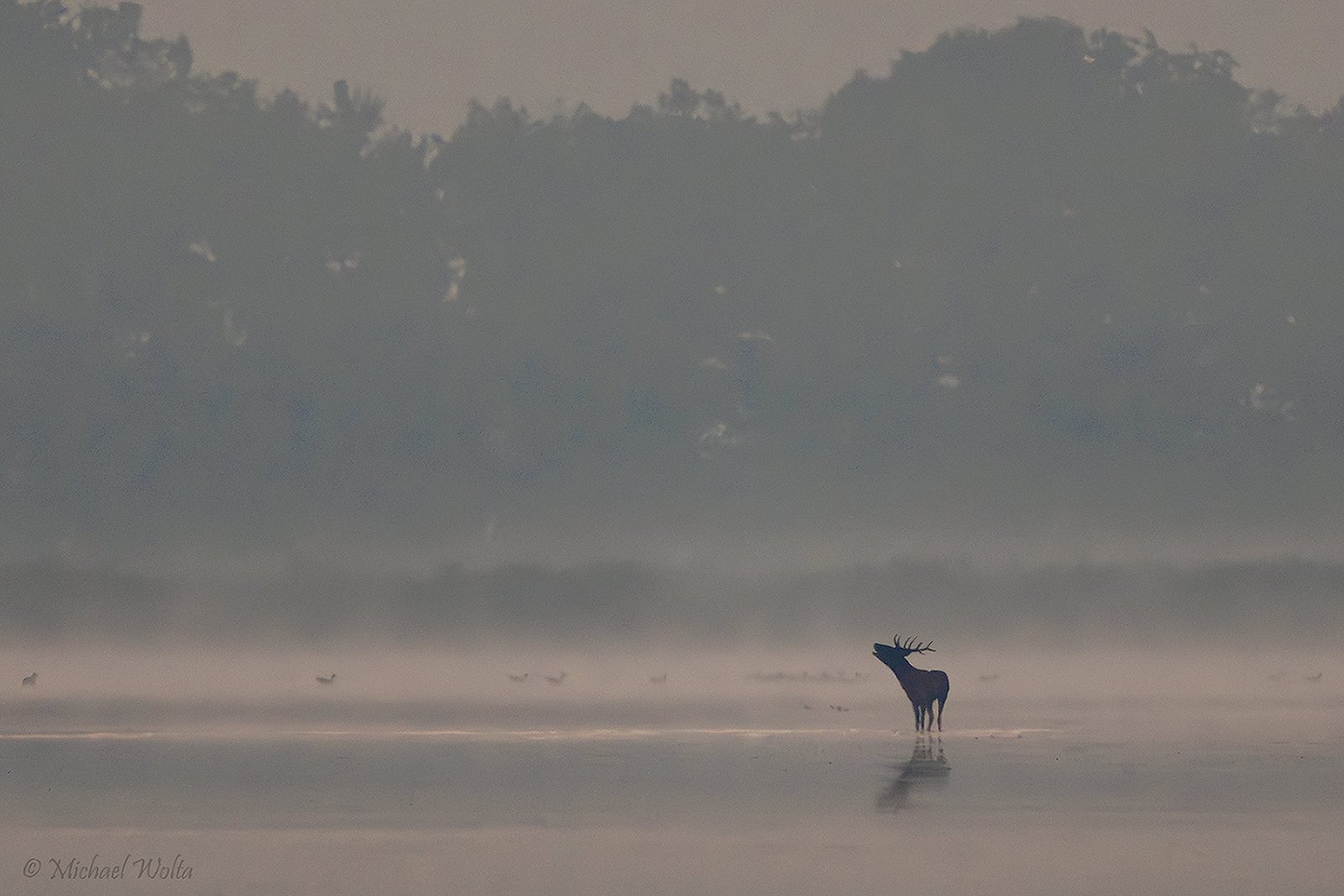 In der Morgendämmerung