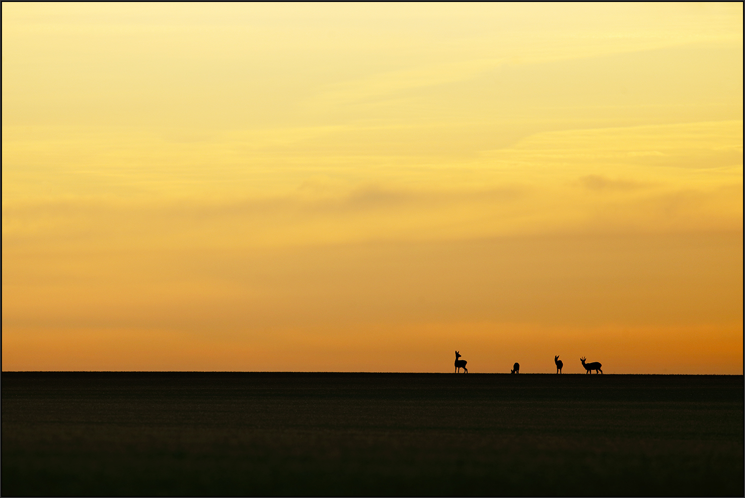 In der Morgenröte