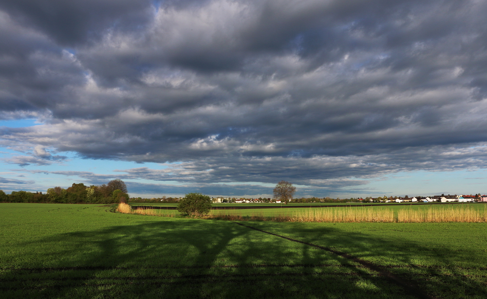 In der Morgensonne