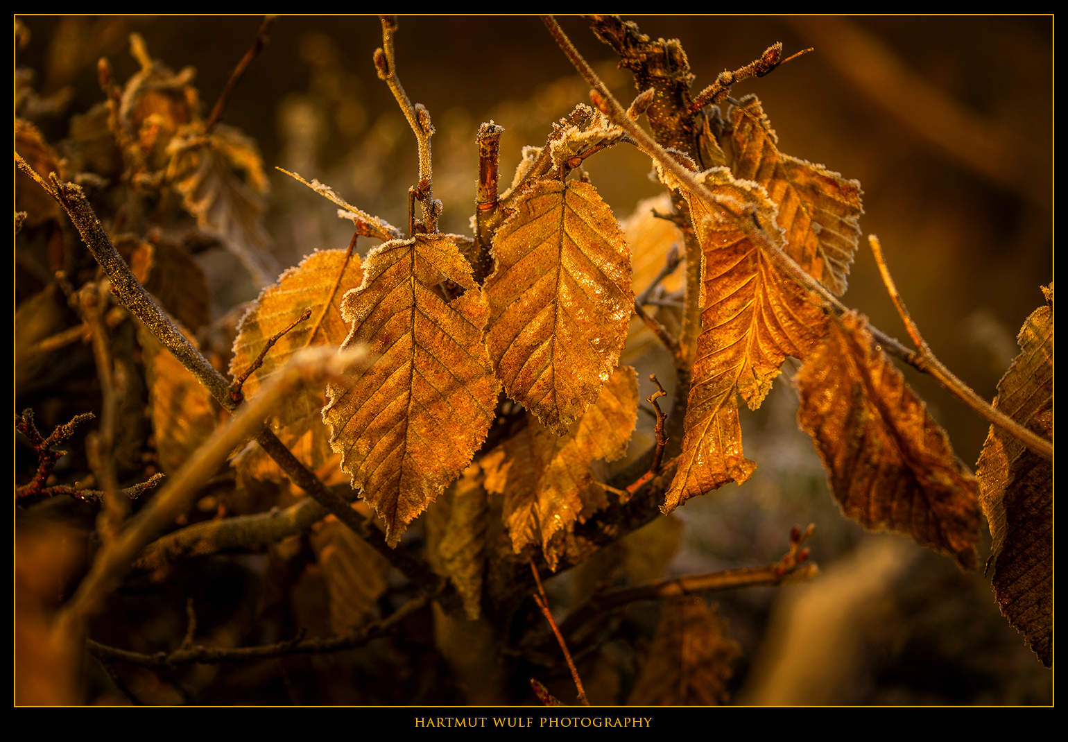 In der Morgensonne