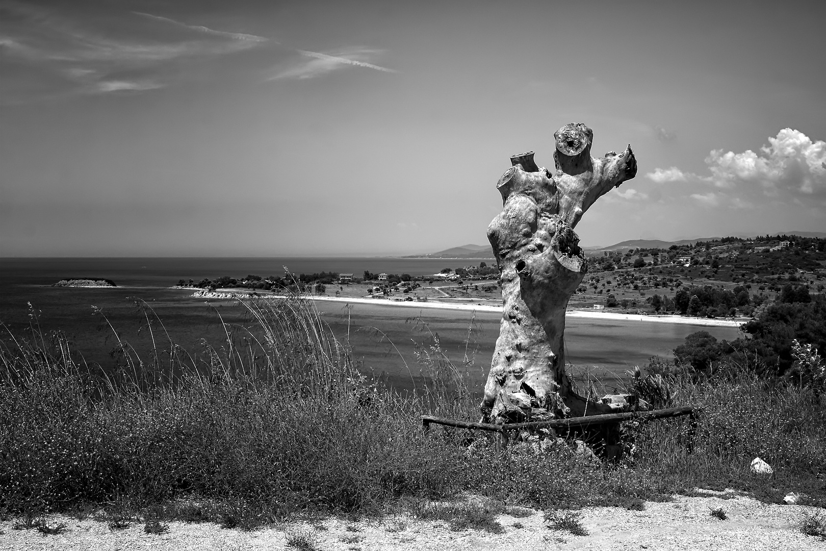 In der Morgensonne.....