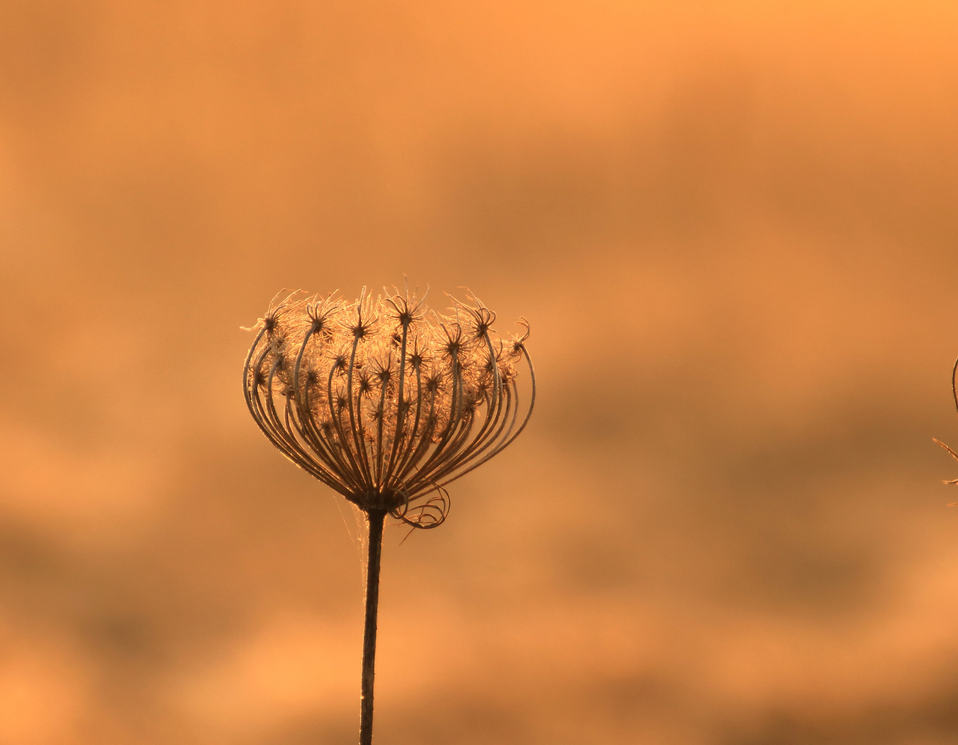 In der Morgensonne