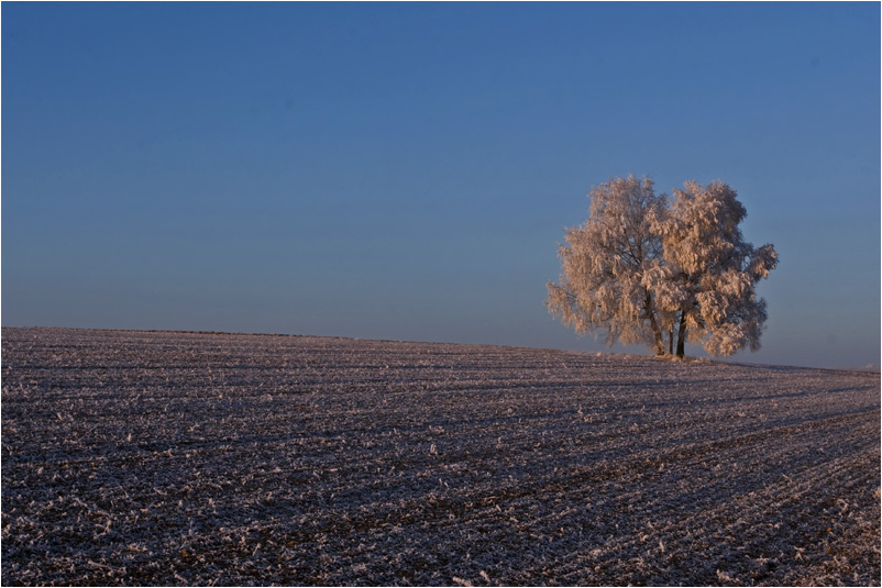 In der Morgensonne