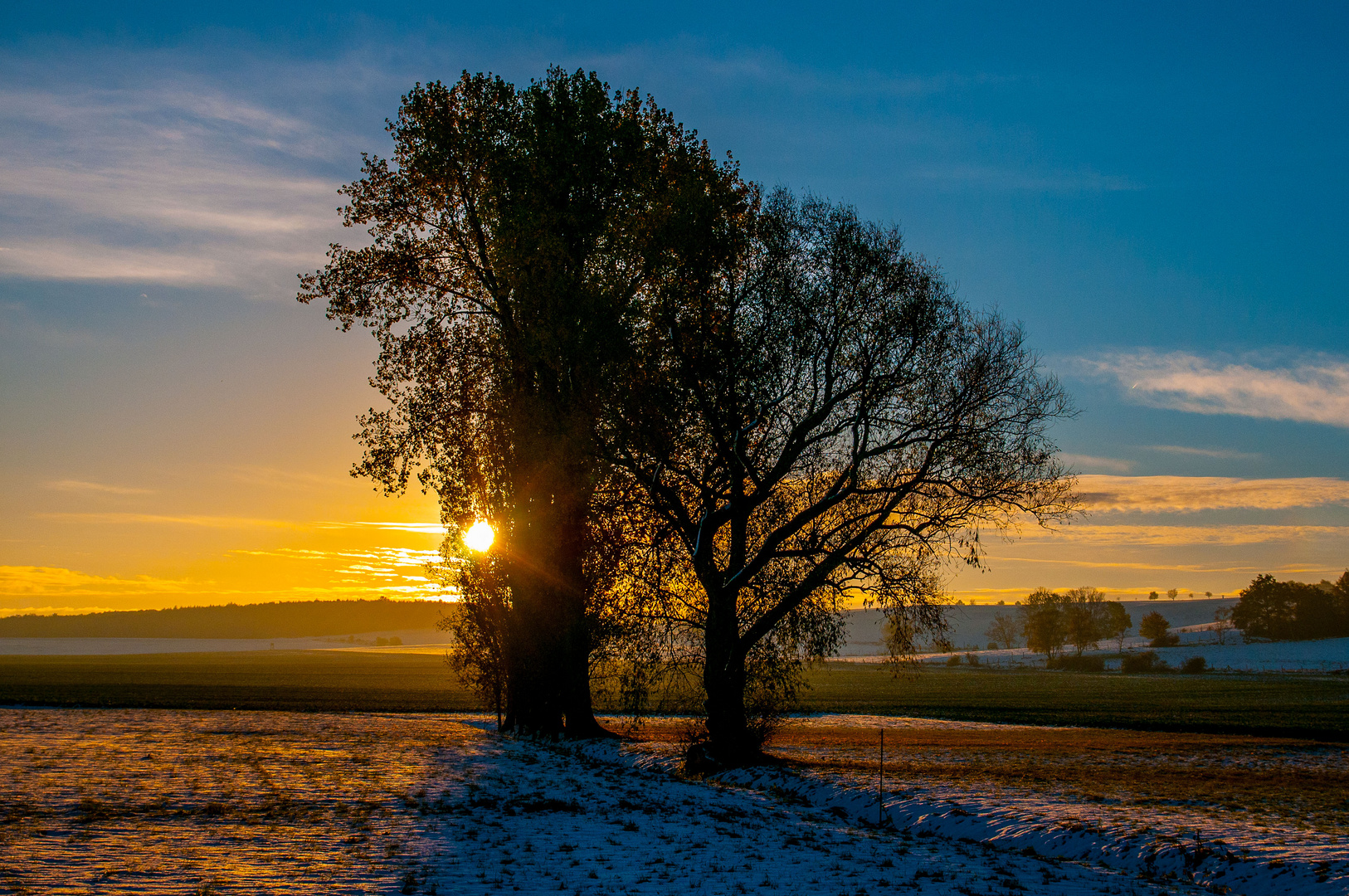 In der Morgensonne