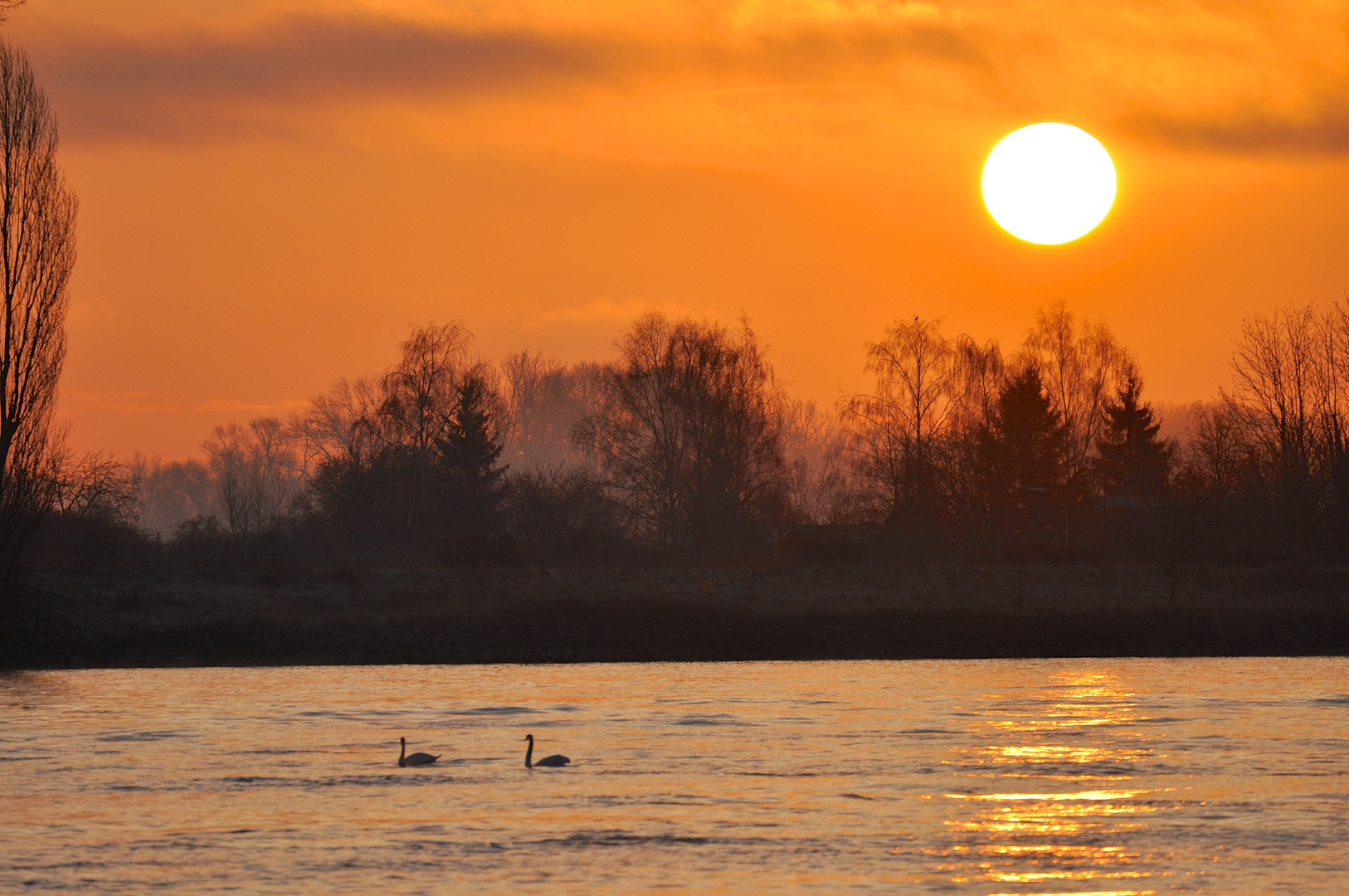 In der Morgensonne über dem Rhein