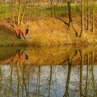 In der Nachmittags Sonne..