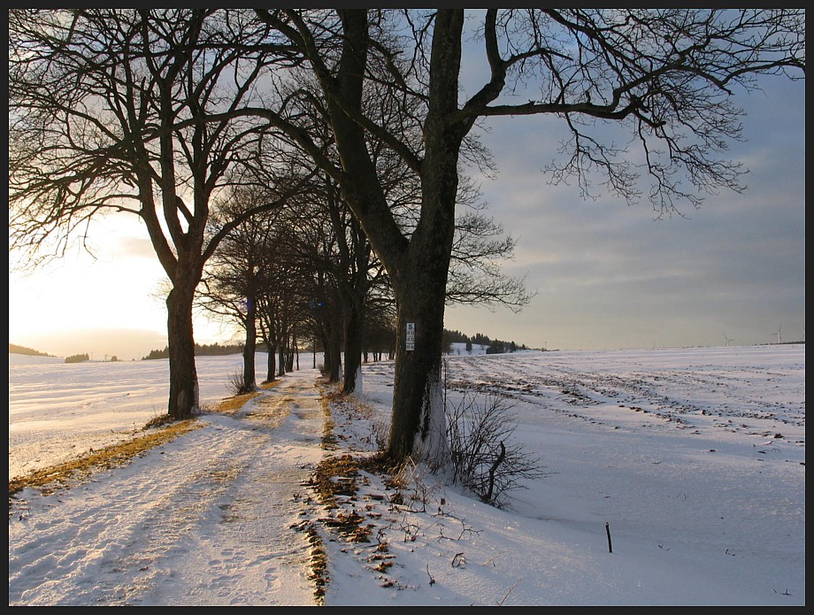 In der Nachmittagswintersonne