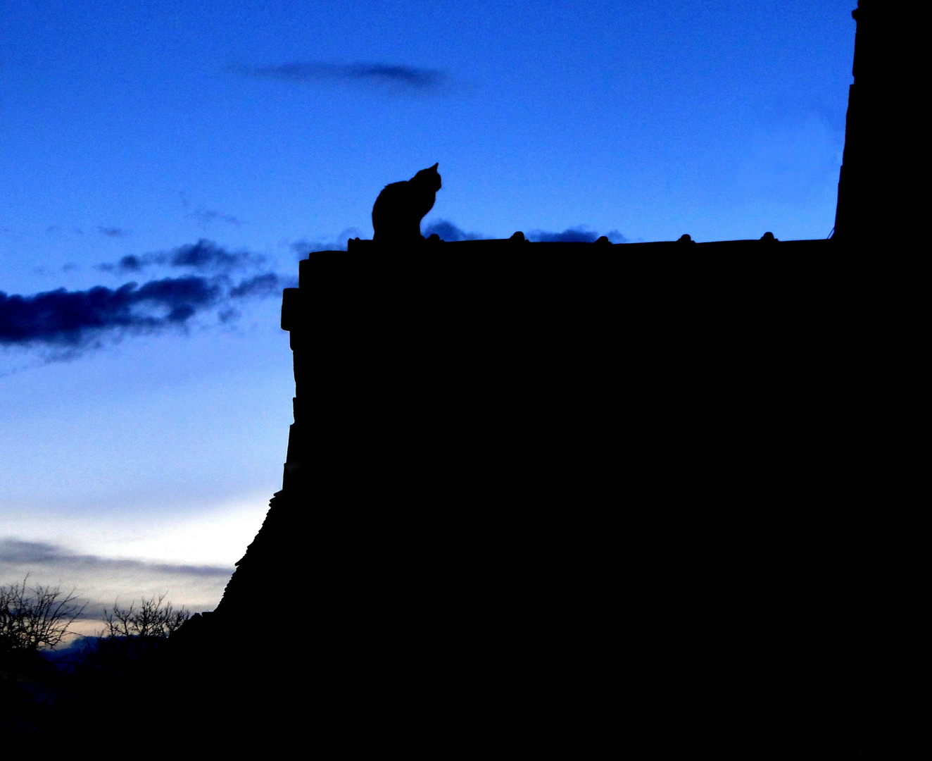 In der Nacht sind alle Katzen schwarz...