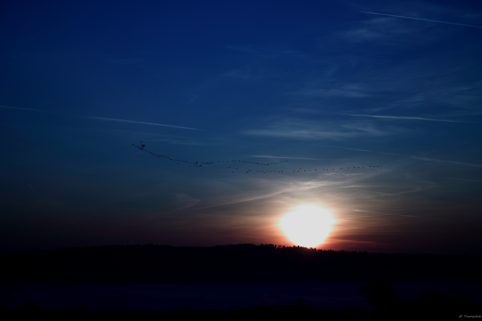 In der Nacht... zu den Sternen...