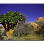 in der Nähe der Spitzkoppe II