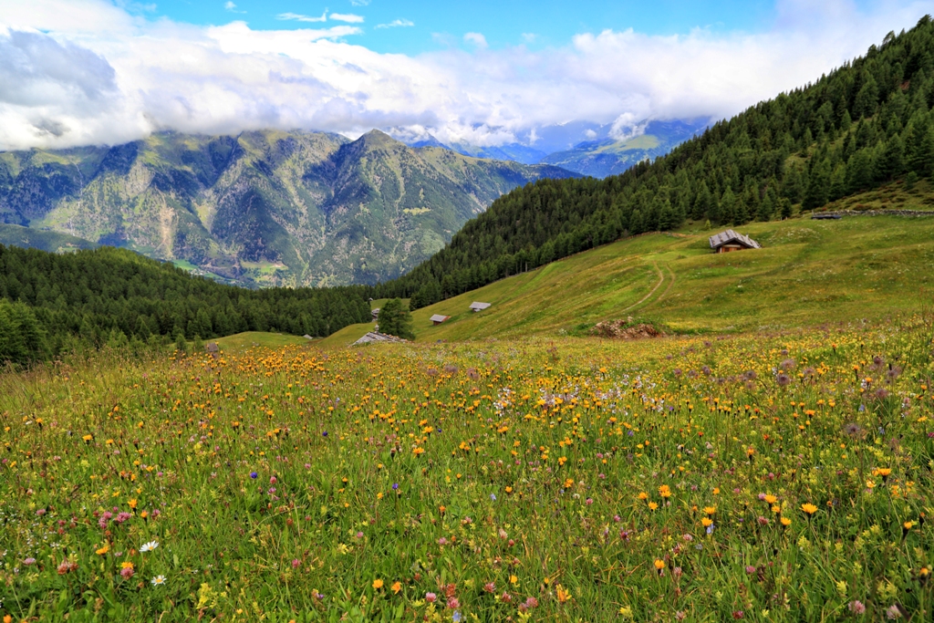 In der Nähe des Hirzers in Italien