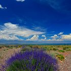 In der Nähe des Issyk-Kul-See in Kirgisistan 2015