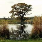 In der Nähe von Calbe - Schönebeck