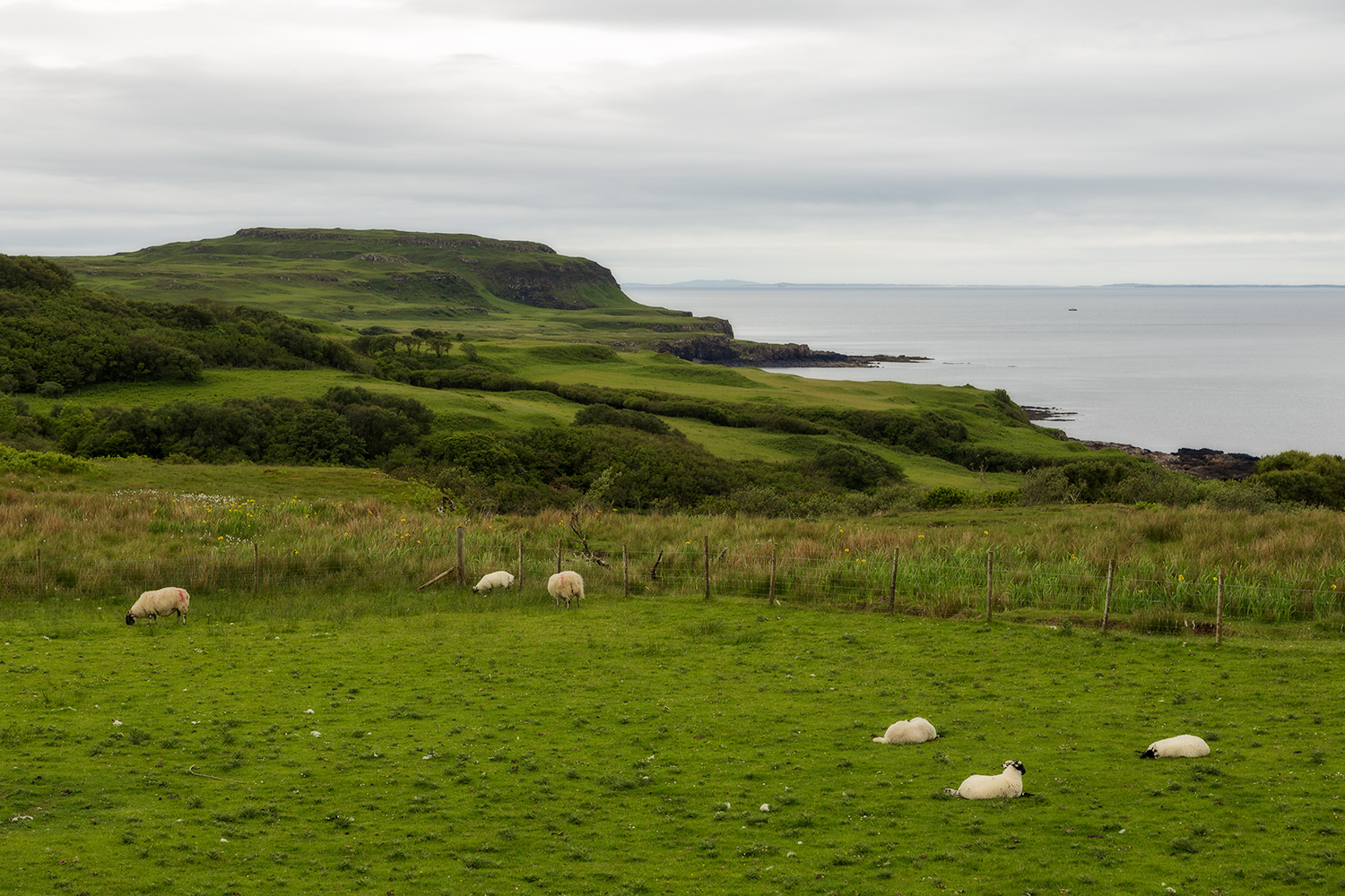 In der Nähe von Calgary auf der Insel Mull