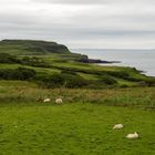 In der Nähe von Calgary auf der Insel Mull