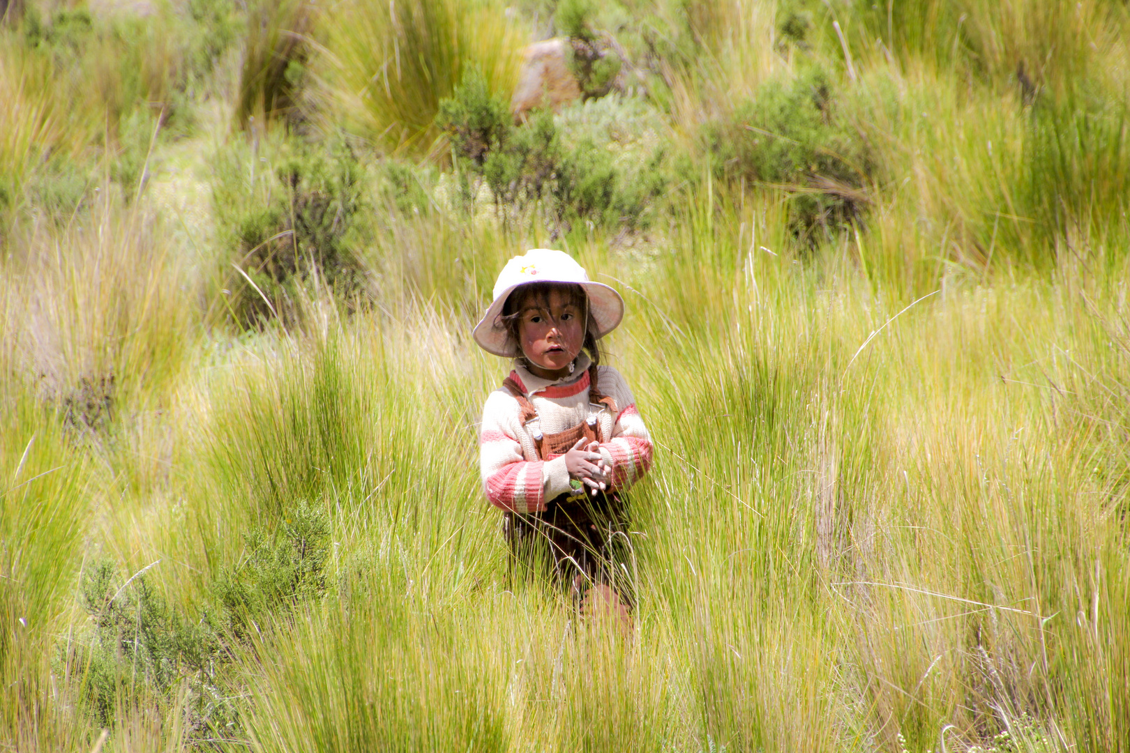 In der Nähe von Colca