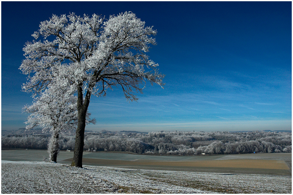 in der Nähe von Fribourg II............